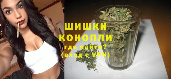 винт Лагань