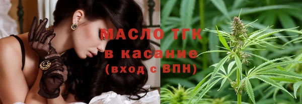 винт Лагань