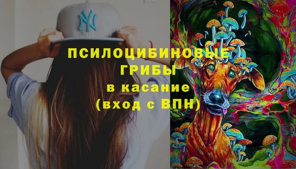 винт Лагань
