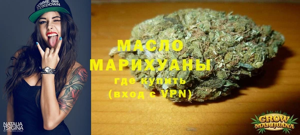 винт Лагань