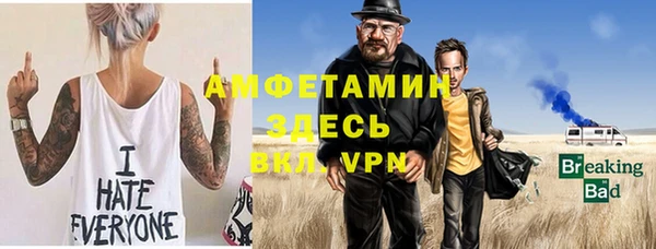 винт Лагань