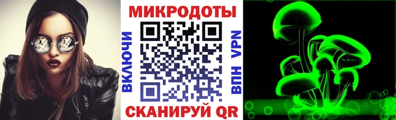 Псилоцибиновые грибы GOLDEN TEACHER  блэк спрут сайт  Находка 